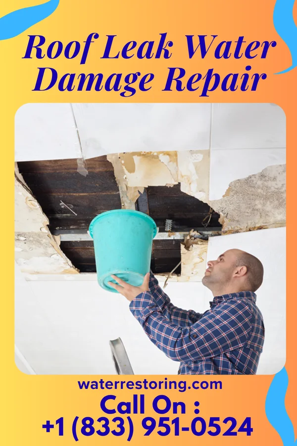 Roof Leak Water Damage Repair in Norwood, IL