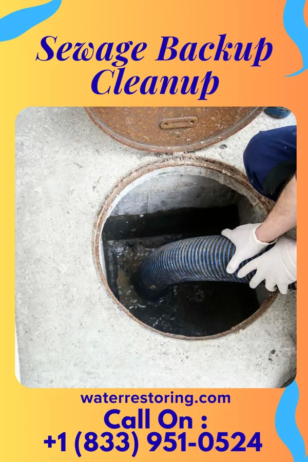 Sewage Backup Cleanup in Norwood, IL