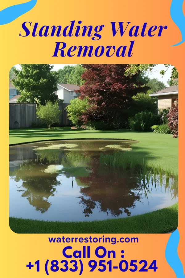 Standing Water Removal in Norwood, IL